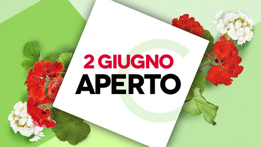 ORARI 2 Giugno